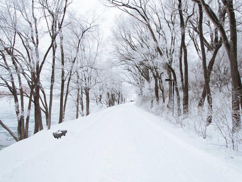 Rakuten Viber безкоштовні дзвінки