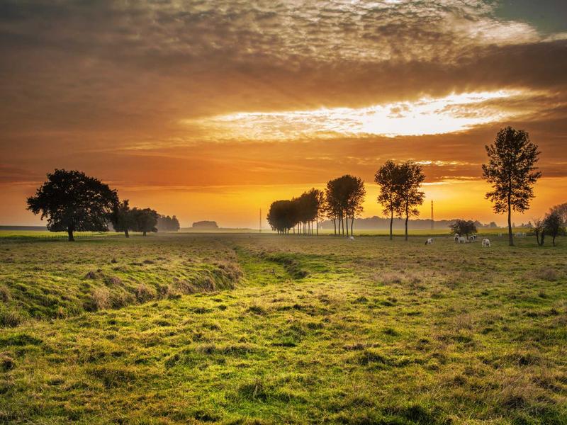 ViberБезкоштовні дзвінки та безпечні повідомлення